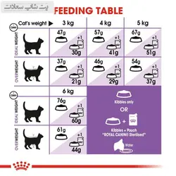 غذای خشک گربه عقیم شده رویال کنین Royal Canin Regular Sterilised وزن 2 کیلوگرم - پت شاپ سعادت
