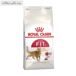 غذای خشک گربه رویال کنین مدل Regular Fit 32 وزن 2 کیلوگرم - پت شاپ سعادت