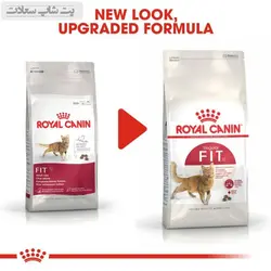 غذای خشک گربه رویال کنین مدل Regular Fit 32 وزن 2 کیلوگرم - پت شاپ سعادت