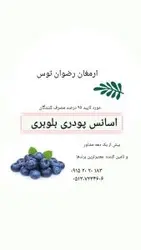 اسانس پودری بلوبری 5 کیلوگرمی