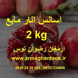 اسانس مایع انار اروپایی 2 کیلویی