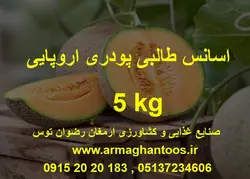 اسانس طالبی 5 کیلوگرمی