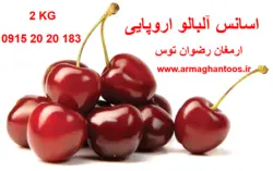 اسانس آلبالو