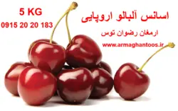 اسانس آلبالو 5 کیلویی