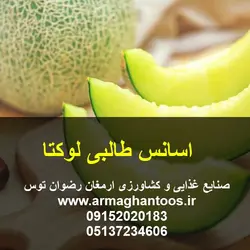 اسانس طالبی لوکتا