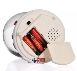 گوی موزیکال قرار برفی