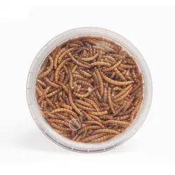 غذای آبزیان و پرندگان پت سی مدل میل ورم