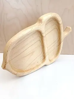 آجیل خوری بلوط سفید