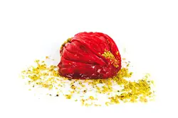 صدفی آلبالویی