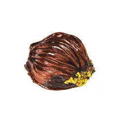 صدفی شکلاتی