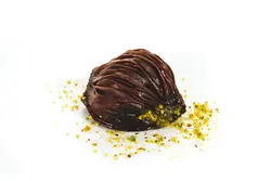 صدفی شکلاتی