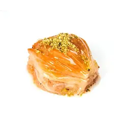 صدفی گردویی