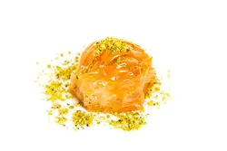 صدفی گردویی