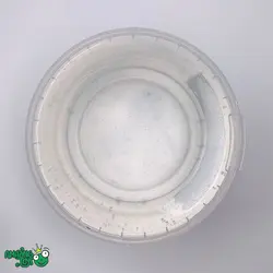 شفاف شفاف