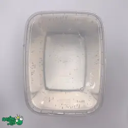 شفاف شفاف