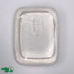 شفاف شفاف