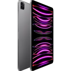 آیپد پرو 11 اینچ 2022 -512 گیگابایت ( iPad Pro 11 inch 2022 - Wifi )