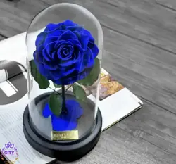 قیمت و خرید باکس دیو و دلبر مشکی گل رز جاودان آبی کینگ