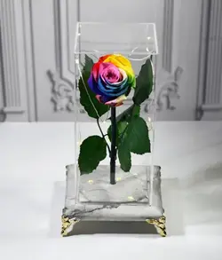 قیمت و خرید رز جاودان رنگین کمانی پایه سنگ مرمر با ریسه