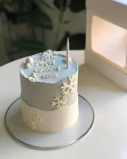 قیمت و خرید کیک زمستانی بهترین کیفیت ارسال سه ساعته