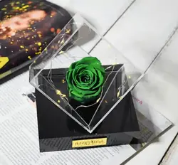 قیمت و خرید باکس چند وجهی رز سبز جاودان و ریسه آفتابی