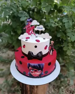 قیمت و خرید کیک دوطبقه دختر کفشدوزکی بهترین کیفیت