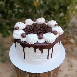 قیمت و خرید کیک خامه ای شکلاتی بهترین کیفیت ارسال سه ساعته