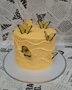 قیمت و خرید کیک تم زرد بهترین کیفیت ارسال سه ساعته