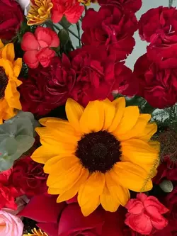 سفارش سبد گل قرمز (رز میخک آفتابگردان اکالیپتوس داوودی)