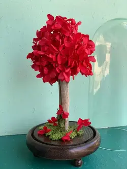 سفارش درختچه هورتانسیا قرمز جاودان تک شاخه ارسال سریع