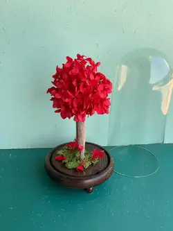 سفارش درختچه هورتانسیا قرمز جاودان تک شاخه ارسال سریع