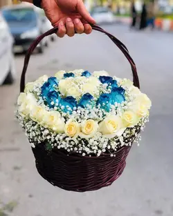 سبد گل رز و عروس