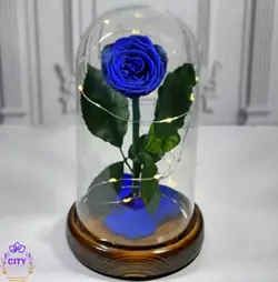 باکس دیو و دلبر با رز جاودان آبی