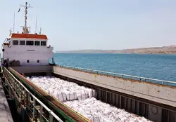 سیمان سیاه صادراتی (خاکستری) - AtayTrading