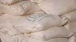 گچ شمشه فارس