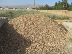 شن بادامی نخودی