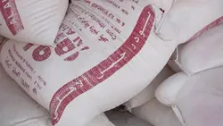 گچ روی کار الاهلی