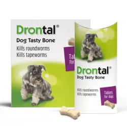 قرص ضد انگل درنتال برای سگ‌ها |   DRONTAL TASTY BONE WORMER TABLETS