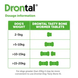 قرص ضد انگل درنتال برای سگ‌ها |   DRONTAL TASTY BONE WORMER TABLETS