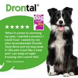 قرص ضد انگل درنتال برای سگ‌ها |   DRONTAL TASTY BONE WORMER TABLETS