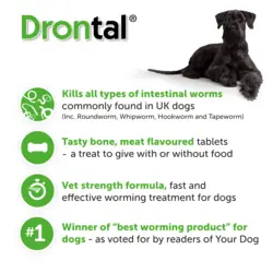 قرص ضد انگل درنتال برای سگ‌ها |   DRONTAL TASTY BONE WORMER TABLETS