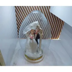 شیشه فلکسی تخم مرغی 25 سانتی عروس و داماد کد 10010