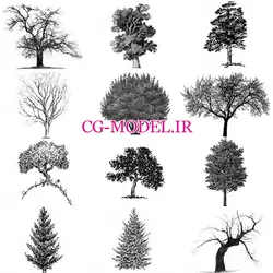 براش درخت (2) | براش درخت برای فتوشاپ | سی جی مدل مرجع براش برای فتوشاپ