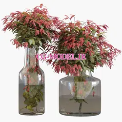 مدل سه بعدی گلدان گیاه (13) | سی جی مدل مرجع مدل سه یعدی برای تری دی مکس