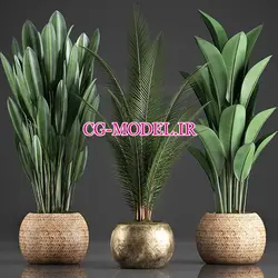 مدل سه بعدی گلدان گیاه (12) | سی جی مدل مرجع مدل سه بعدی با کیفیت