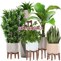 مدل سه بعدی انواع گیاه | ابجکت گلدان گیاه | سی جی مدل مرجع مدل سه بعدی