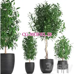 مدل سه بعدی گلدان گیاه (8) | ابجکت گلدان گیاه | سی جی مدل مرجع مدل سه بعدی