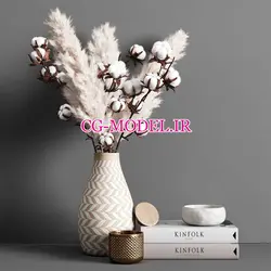 مدل سه بعدی گل پنبه و گیاه Pampas و لوازم دکوری | سی جی مدل معماری و گرافیک