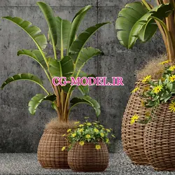 مدل سه بعدی گلدان حصیری گل و گیاه | ابجکت گل و گیاه | سی جی مدل