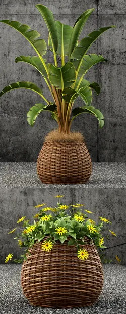 مدل سه بعدی گلدان حصیری گل و گیاه | ابجکت گل و گیاه | سی جی مدل